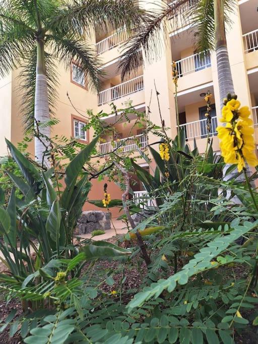 Tropical Apartment - Heated Pool Palm-mar Exterior foto